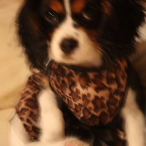 Meet your Posher, Joanne